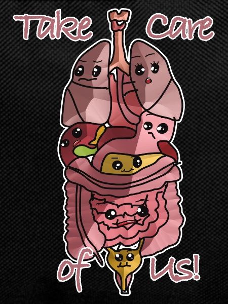 Anatomy organs