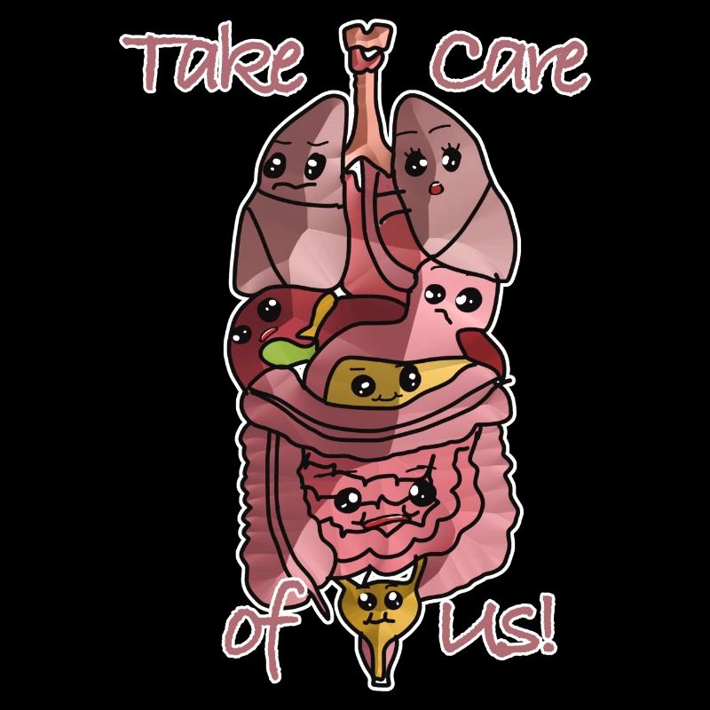 Anatomie Organe