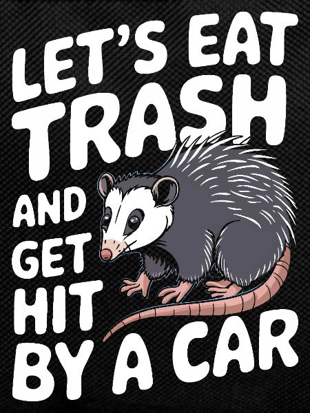 Opossum Possum Animal