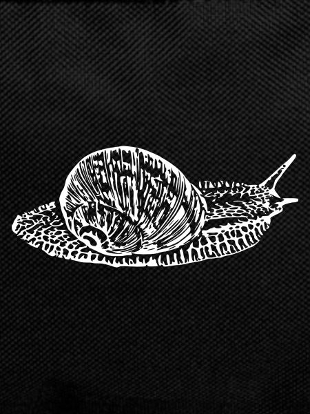 Snail, vineyard snail white