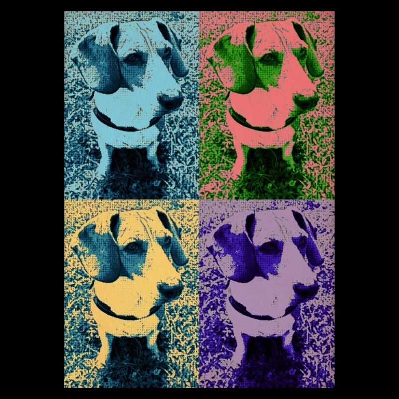 Pop Art Hund