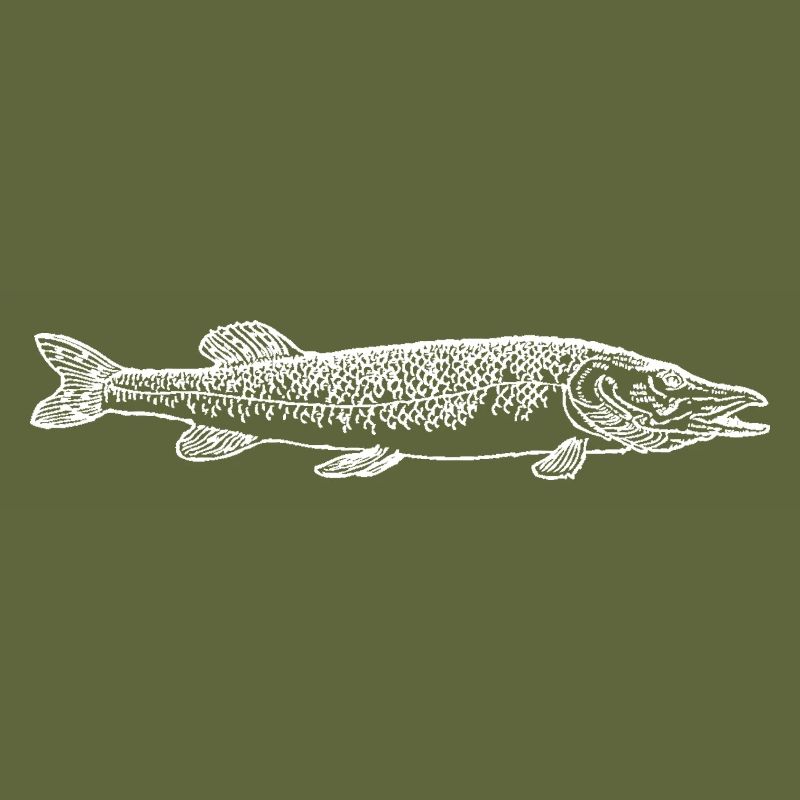 Pike