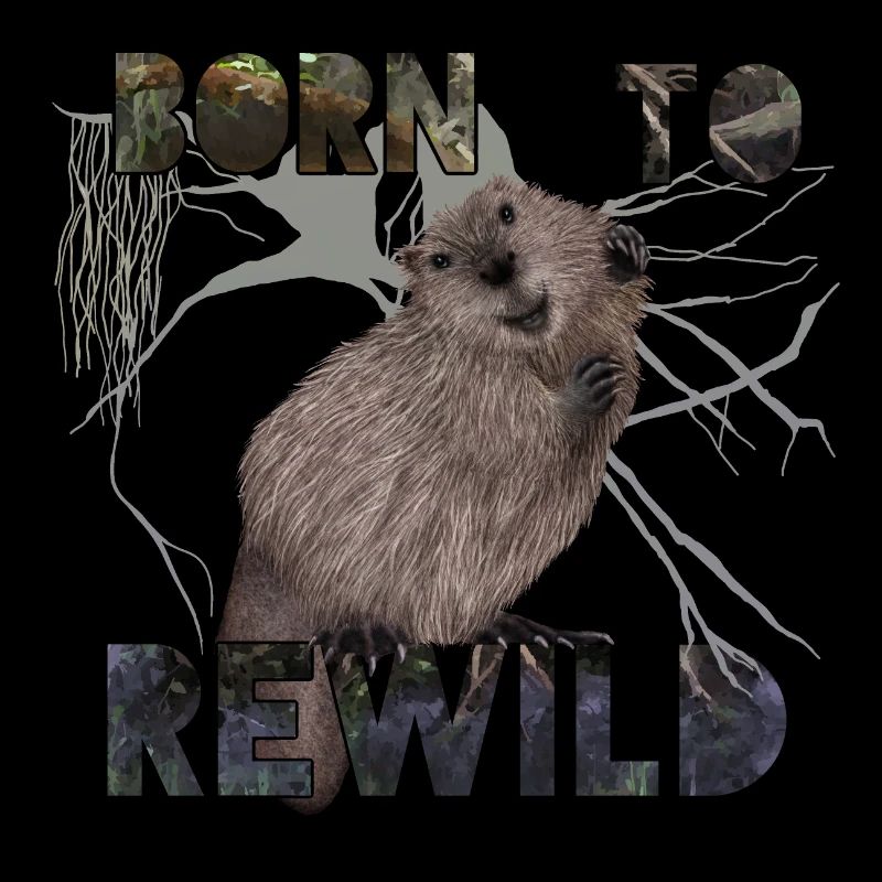 Né du castor ReWild