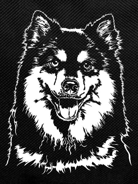 FINNISH LAPPHUND dog dogs Wilsigns