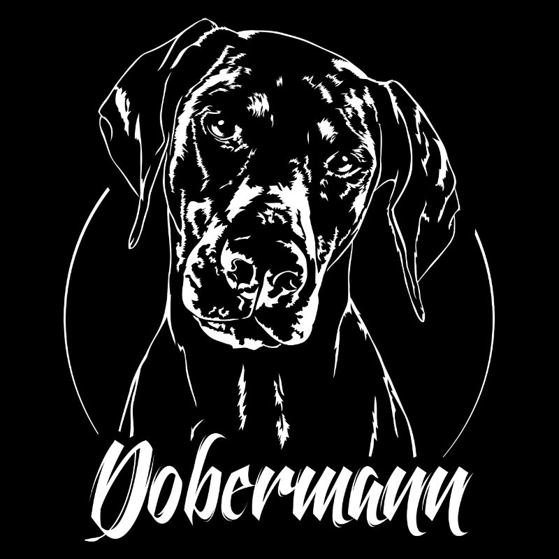 DOBERMANN Hundeportrait Hund Hunde IGP Wilsigns