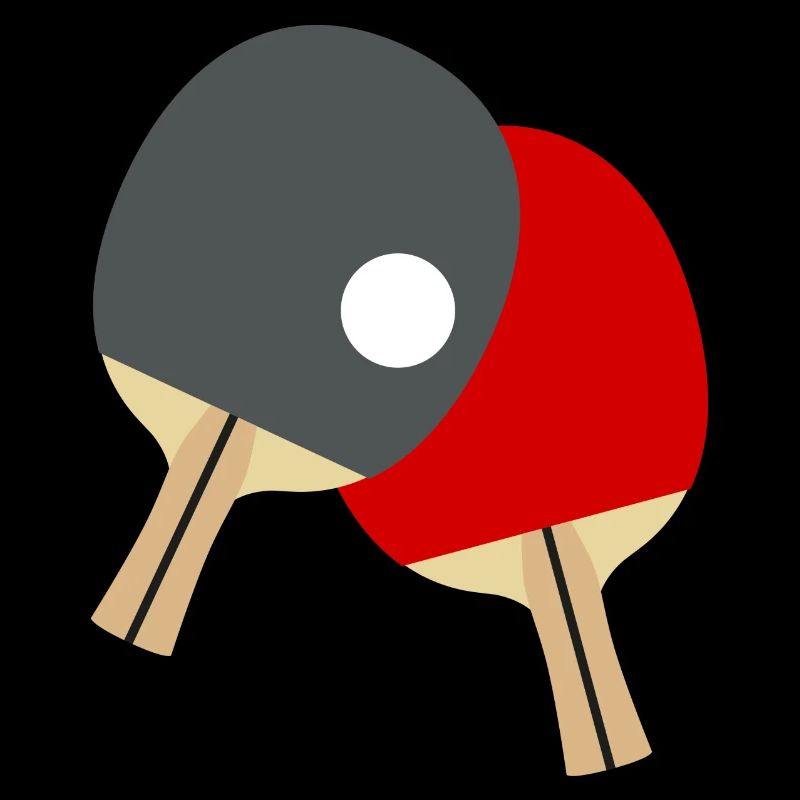 Table Tennis Racket / Ping Pong