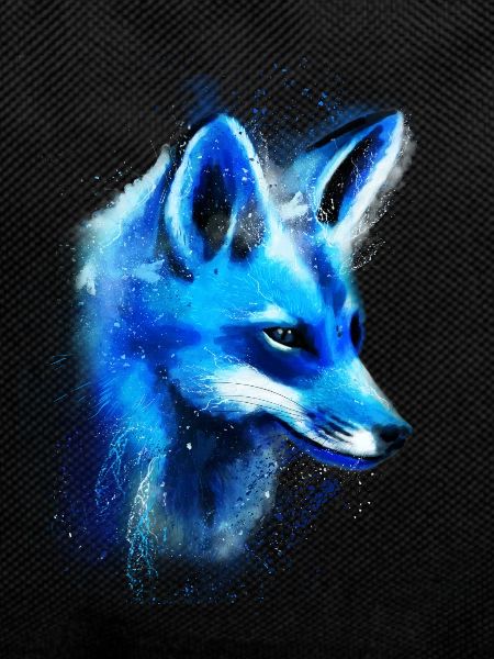 Fox hand-drawn