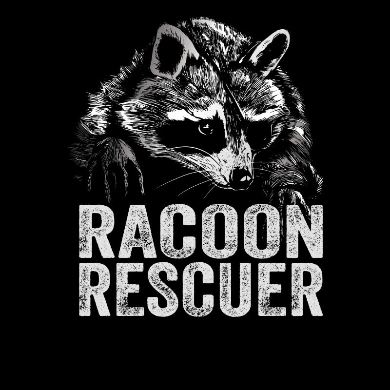 Raton laveur