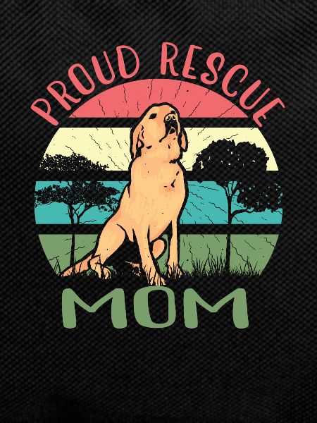 Rescue Dog