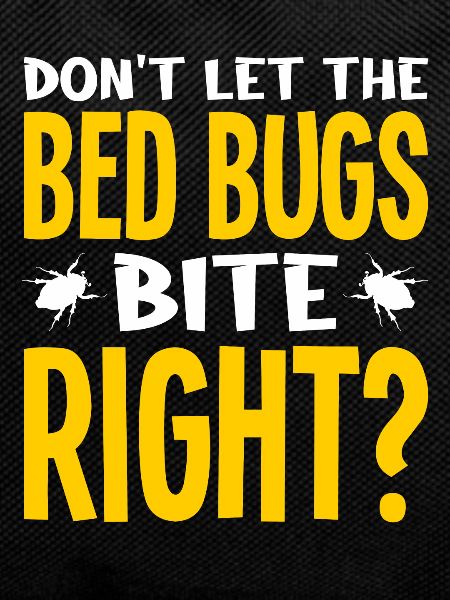 Insects