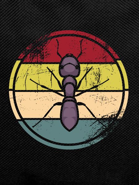 Insects