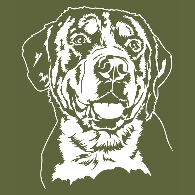 Grosser Schweizer Sennenhund Portrait Wilsigns