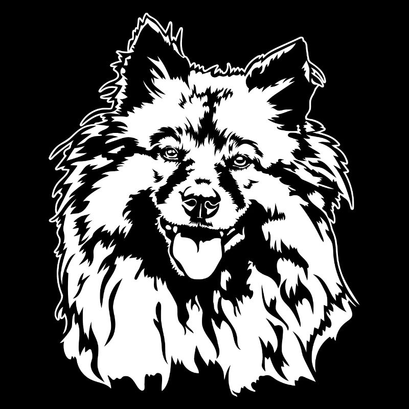 Wolfsspitz Keeshond Dog Portrait Dogs Wilsigns