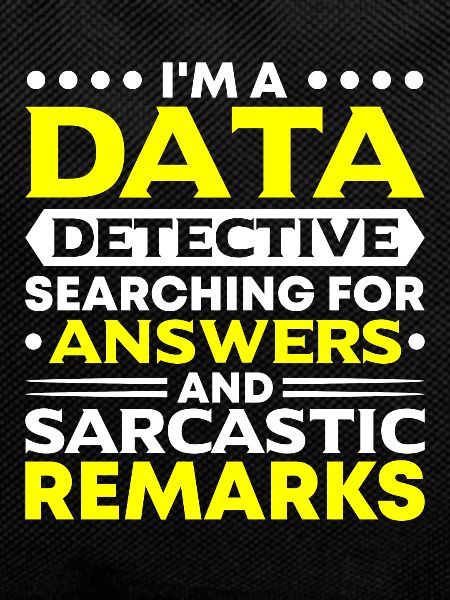 Daten Analytiker Datenschutz Beauftragter