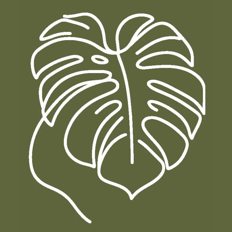 Monstera