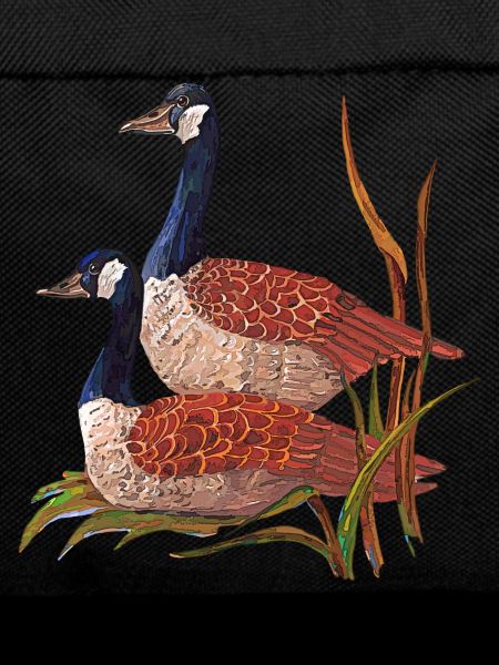 oiseaux