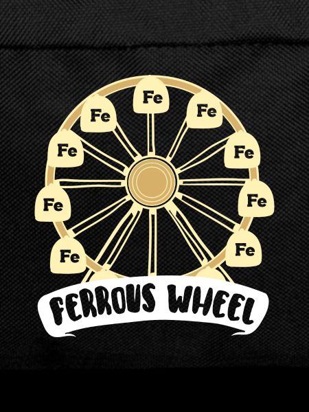 The Chemistry - Ferris Wheel! - Gift
