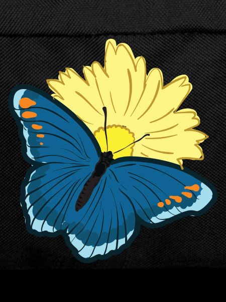 Butterfly Butterfly Wing Butterfly