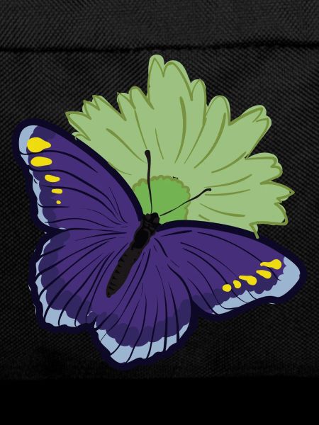 Butterfly moth