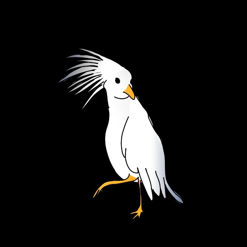 Cagou oder Crested Kagou aus Neukaledonien