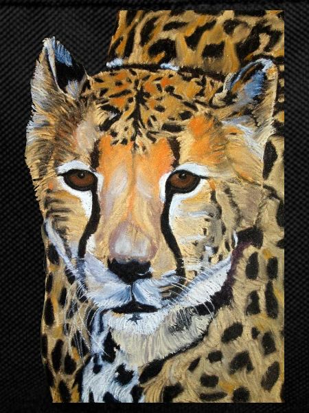 Cheetah drawing