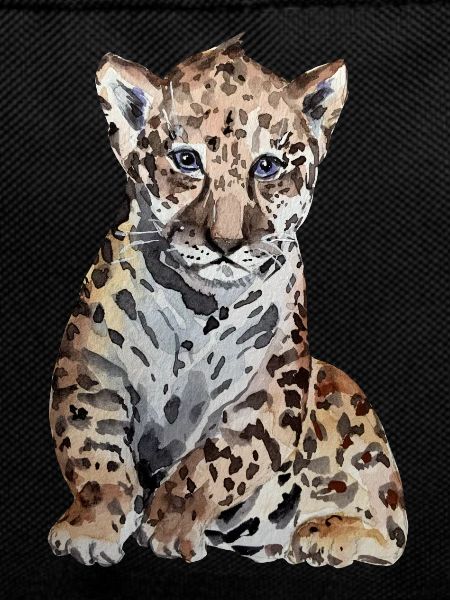 Jaguar Baby