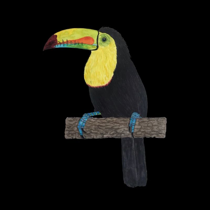 Forêt tropicale de Toucan Jungle