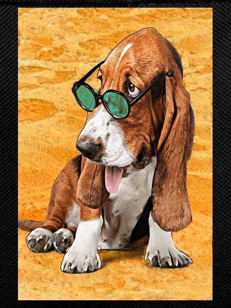 cool beach basset