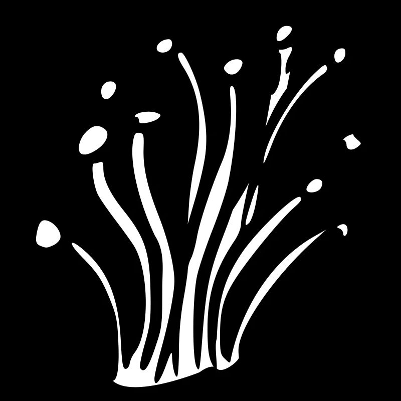 nature mushrooms 04