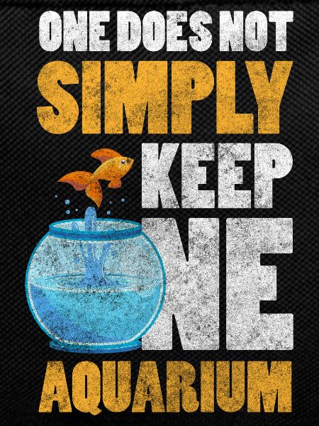 Aquarium Fish farming pet