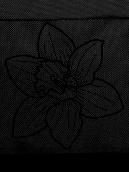 Daffodil flower