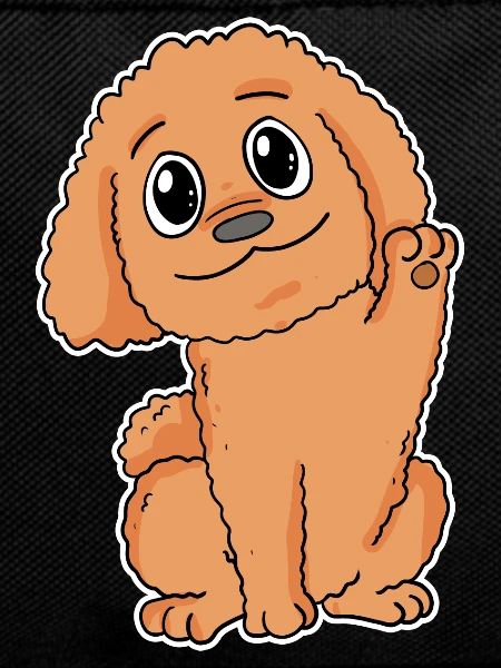 Poodle Dog Breed Dog Dogs