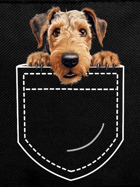 Chien Airdale Terrier