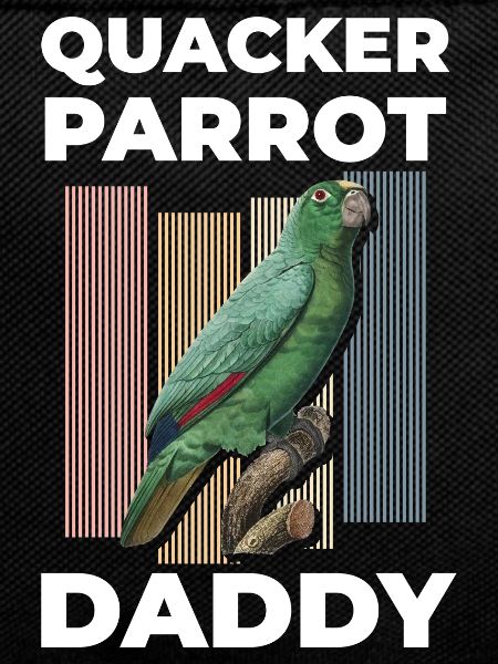 Macaw, Birds, Beak, Cockatoo