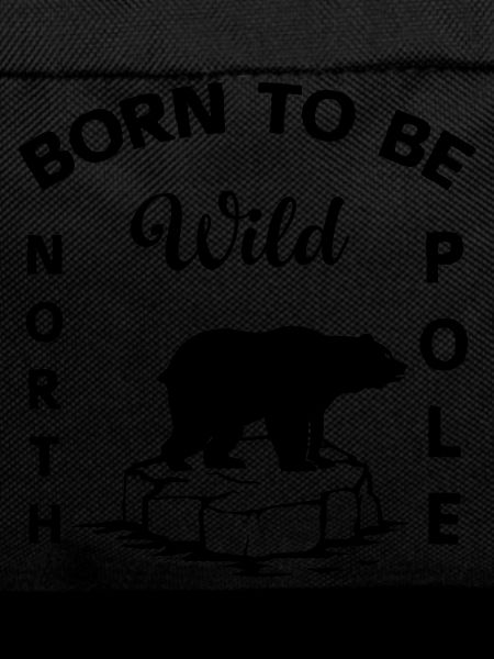 Polar Bear Wilderness Antarctica