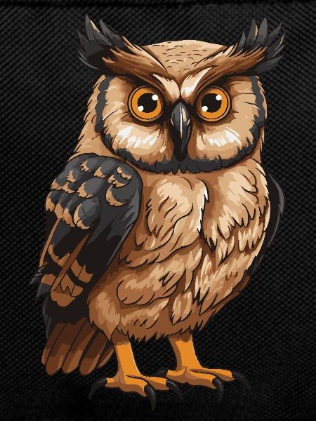 Owl Animal