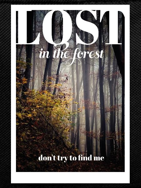LOST in the forest