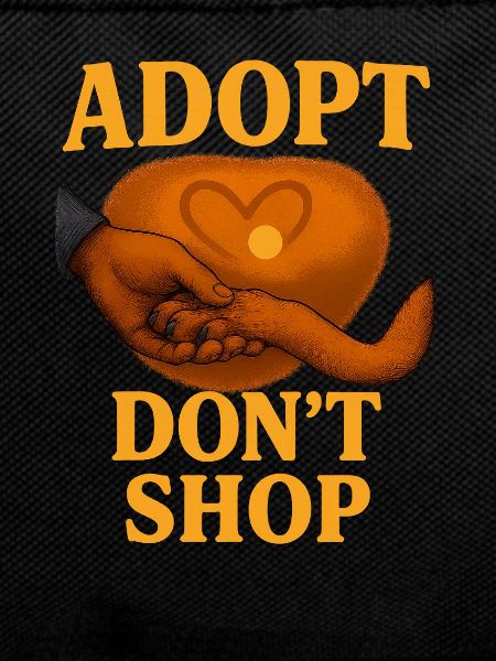Empathetic cat adoption design