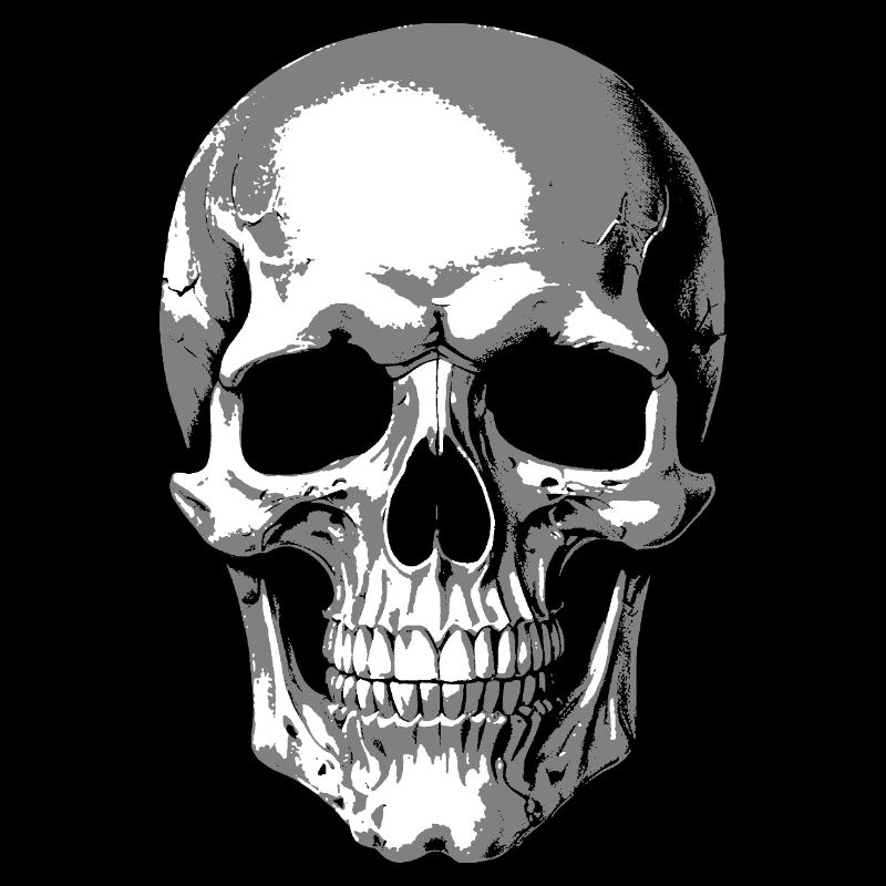 Monochrome Skull Graphic