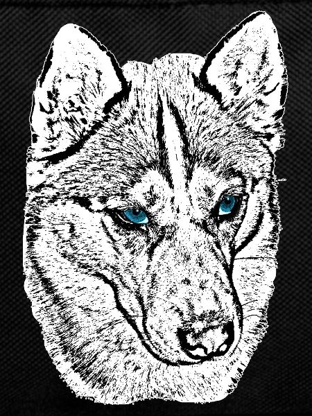Wolf Head Drawing Blue Eyes
