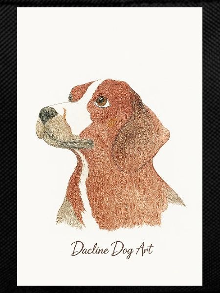 Beagle Portrait im Bleistift