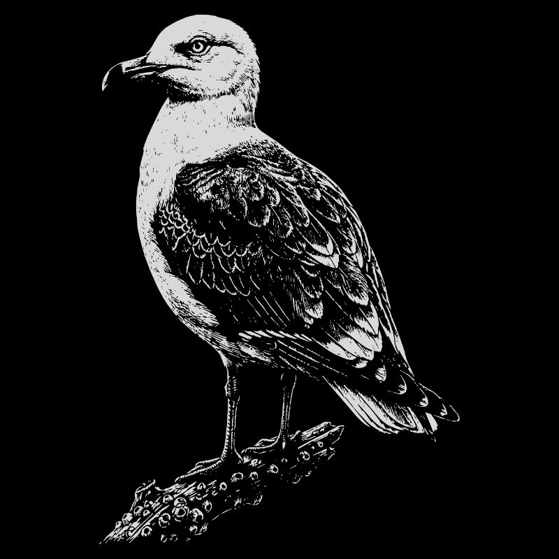 Seagull Silhouette in Vintage Ink