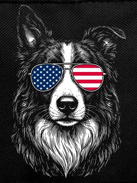 Border Collie USA Sunglasses Patriotic