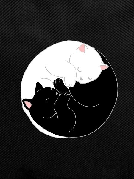 Yin and Yang Cat