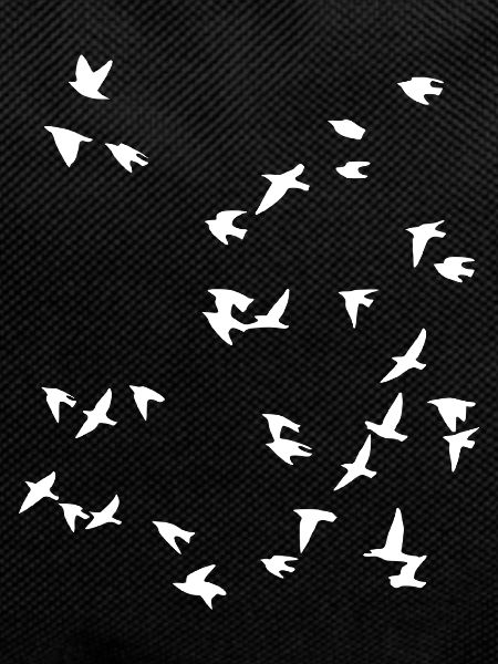 Bird flock flies