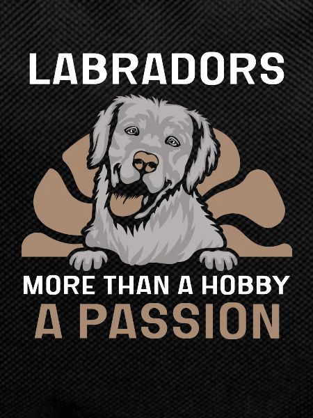 Labrador