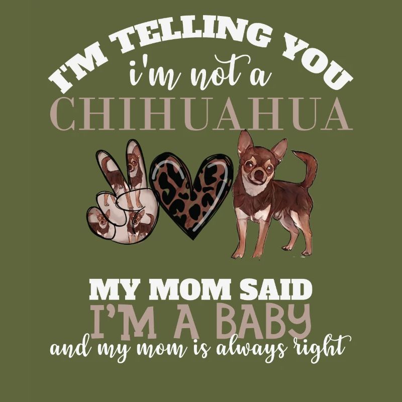 Chihuahua, Meine Mutter Sagte, Ich Sei Ein Baby