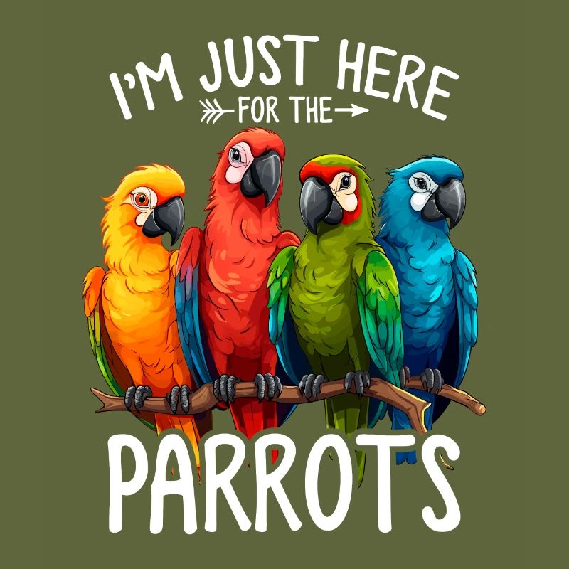 Perroquet Amant Quaker Perroquet Moine Perruche Oiseaux