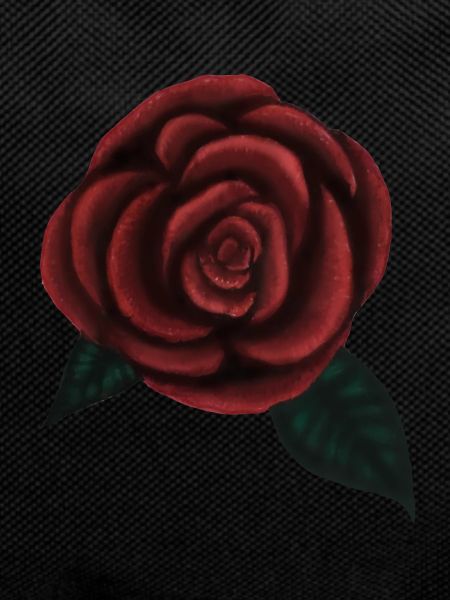 One rose