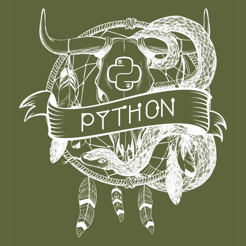 technologie de langage de programmation python